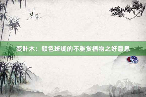 变叶木：颜色斑斓的不雅赏植物之好意思