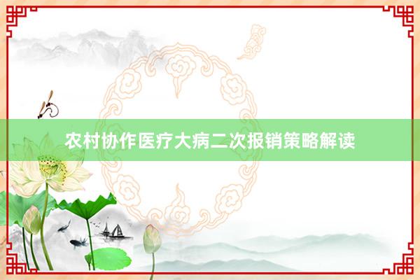 农村协作医疗大病二次报销策略解读