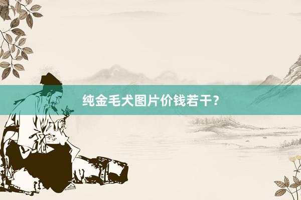 纯金毛犬图片价钱若干？