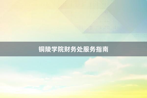 铜陵学院财务处服务指南